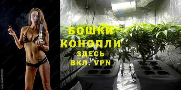 дурь Балахна